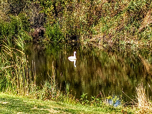 Golf Course «Jamestown Golf Course», reviews and photos, 245 Conanicus Ave, Jamestown, RI 02835, USA