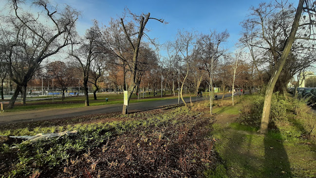 Értékelések erről a helyről: Szent László Állatorvosi Rendelő, Budapest - Állatorvos