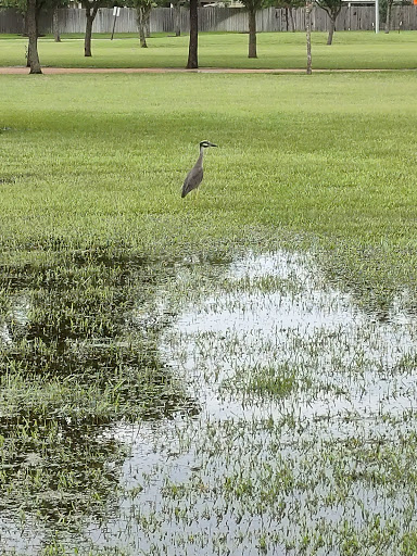 Park «Eagle Ranch West Pocket Park», reviews and photos, 5754 Eagle Sky Blvd, Katy, TX 77449, USA