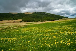 Platoul Bucegi image