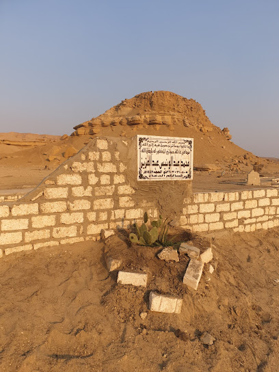 مقابر عائلة حجازي