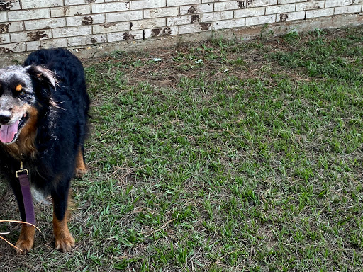 Veterinarian «Mabank Animal Hospital Inc», reviews and photos