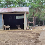 Photo n°12 de l'avis de Gian.a fait le 20/07/2021 à 11:45 sur le  AGRITURISMO LA VILLA à Villa Sant'Angelo