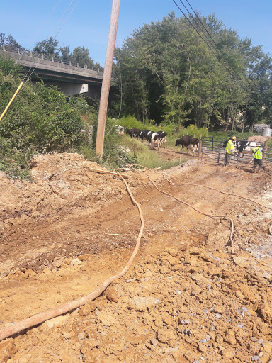 Public Golf Course «Clustered Spires Golf Club», reviews and photos, 8415 Gas House Pike, Frederick, MD 21701, USA