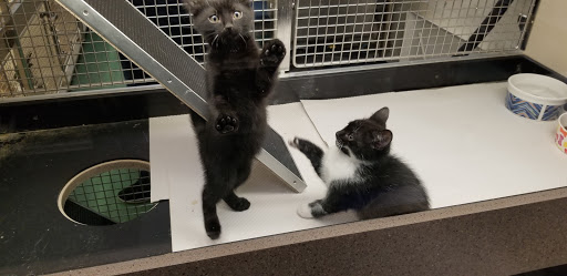 Pet Store «Pets World», reviews and photos, 147 Bridge St, Weymouth, MA 02191, USA