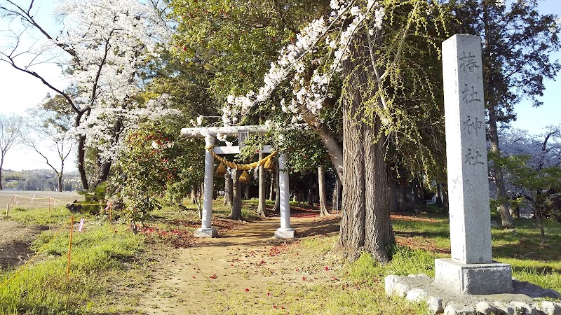 椿杜神社参道