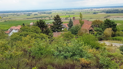 Rocher Des Celtes à Dieffenthal