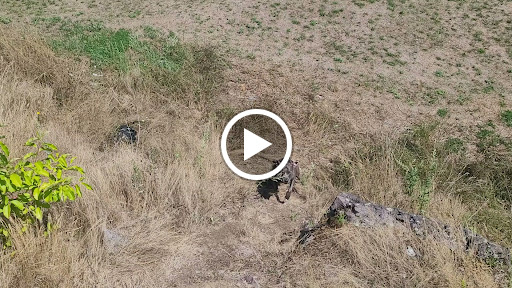 Park «High Rock Tower Park», reviews and photos, 30 Circuit Ave, Lynn, MA 01902, USA