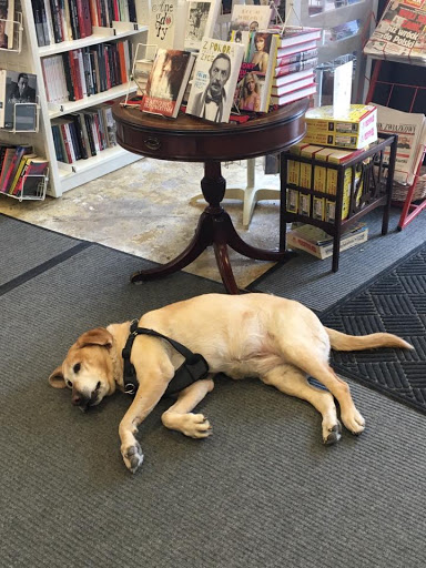 Book Store «D & Z House of Books», reviews and photos, 5507 W Belmont Ave, Chicago, IL 60641, USA