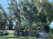 Progressive Lawn & Landscaping - Photo 5 - Car repair in Clearwater, FL, Clearwater