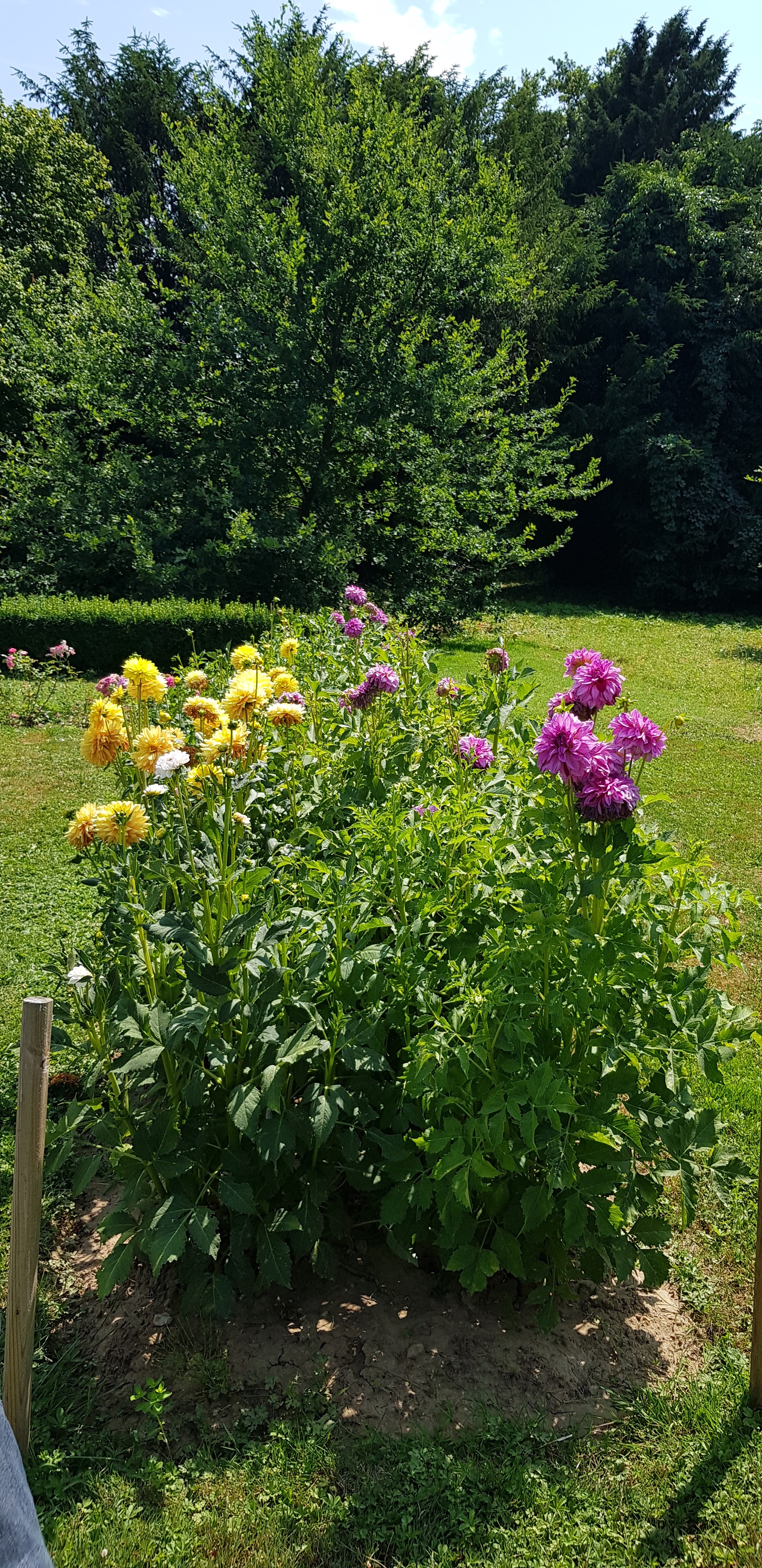 Photo n° 5 de l'avis de Elizabeth.r fait le 16/08/2019 à 13:43