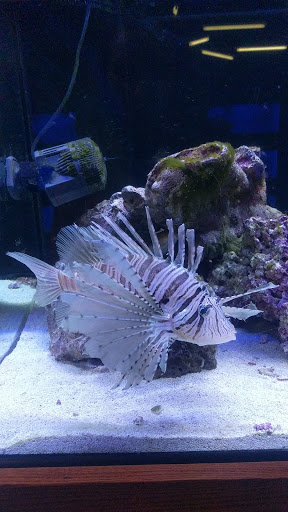 Aquarium «Aquatica», reviews and photos, 800 Clanton Rd H, Charlotte, NC 28117, USA