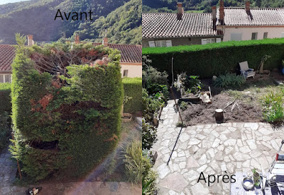 La Nature En Pyrénées Orientales à Olette