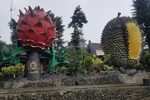 Kebun Durian Warso Farm image