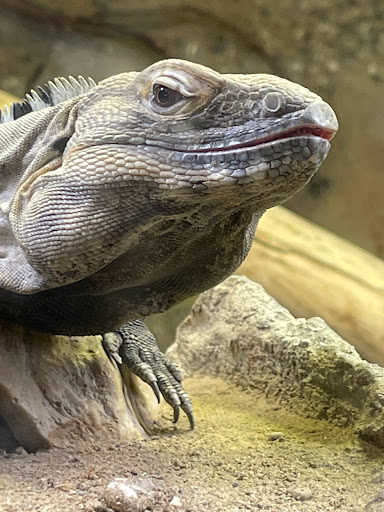 Zoo «Arctic Ring of Life», reviews and photos, 8450 W 10 Mile Rd, Royal Oak, MI 48067, USA