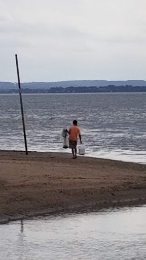 Park «Lemon Creek Park», reviews and photos, Hylan Blvd, Staten Island, NY 10309, USA