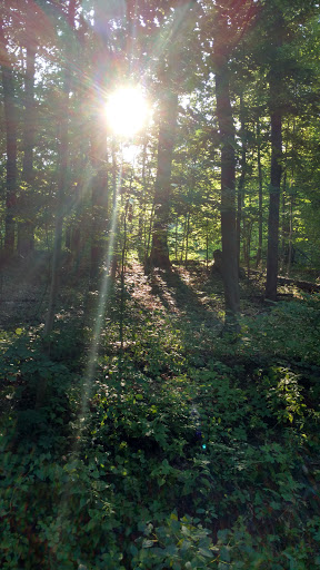 Park «Quiet Cove Riverfront Park», reviews and photos, 1 Clear Water Dr, Poughkeepsie, NY 12601, USA