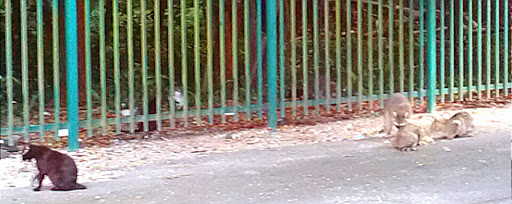 Park «Sewell Park», reviews and photos, 1801 NW S River Dr, Miami, FL 33125, USA