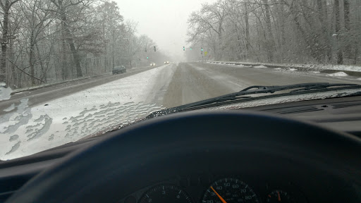 Nature Preserve «Sauk Trail Woods», reviews and photos, 3028 Forest Preserve Dr, Chicago Heights, IL 60411, USA