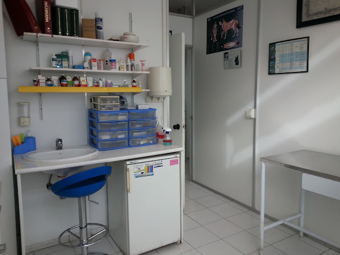 Clínica Veterinaria Avenida de España