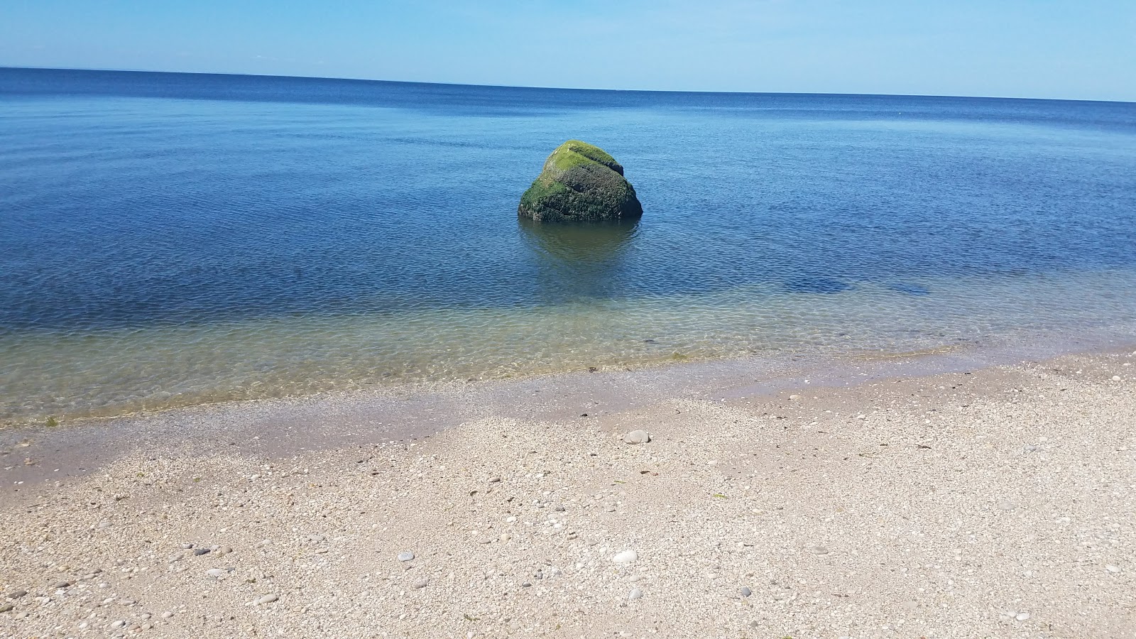 Foto af North Shore Beach med høj niveau af renlighed