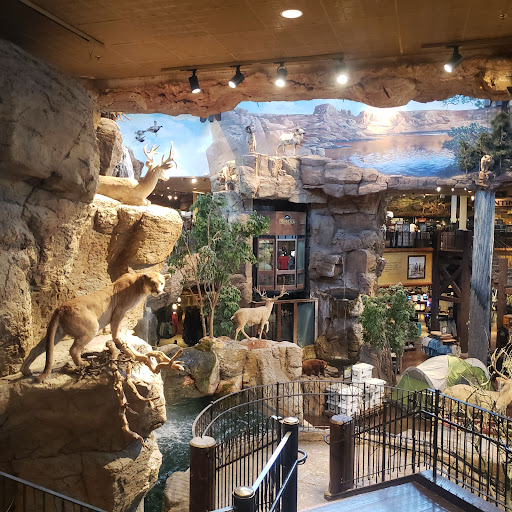 Sporting Goods Store «Bass Pro Shops», reviews and photos, 1133 N Dobson Rd, Mesa, AZ 85201, USA