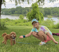 Westchester K-9 - Serving Westchester, Putnam, CT, NYC - Photo 5 - Car repair in Carmel Hamlet, NY, Danbury