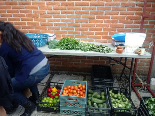 Tiendas ecologicas en Puebla