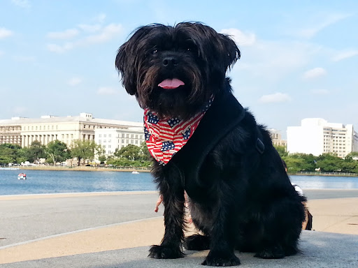 Monument «Thomas Jefferson Memorial», reviews and photos, 701 E Basin Dr SW, Washington, DC 20242, USA