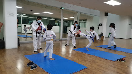 Mujeog Taekwondo Coatepec