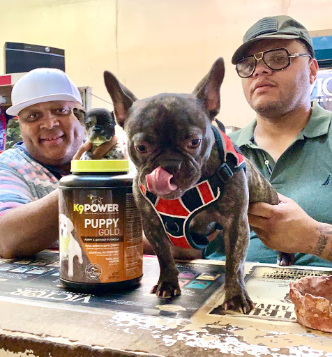 Pet Supply Store «Ace Pet Supply & K-9 Center Inc», reviews and photos, 206 Vanderpool St, Newark, NJ 07114, USA