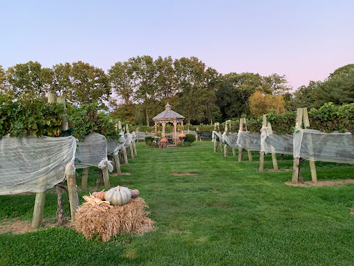 Winery «Diliberto Winery», reviews and photos, 250 Manor Ln, Riverhead, NY 11901, USA