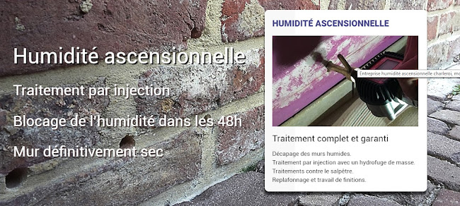 Beoordelingen van Belgique Humidité in Walcourt - Schoonmaakbedrijf