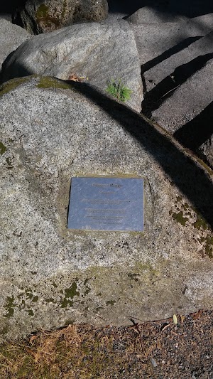 Thomas C. Wales Park - photo 93