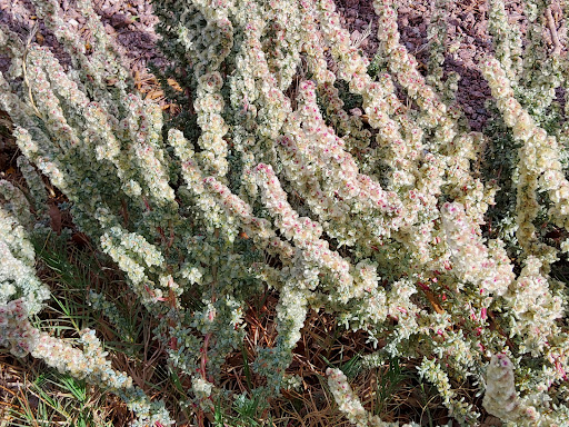 Electronics Store «Best Buy», reviews and photos, 6455 N Decatur Blvd, Las Vegas, NV 89131, USA