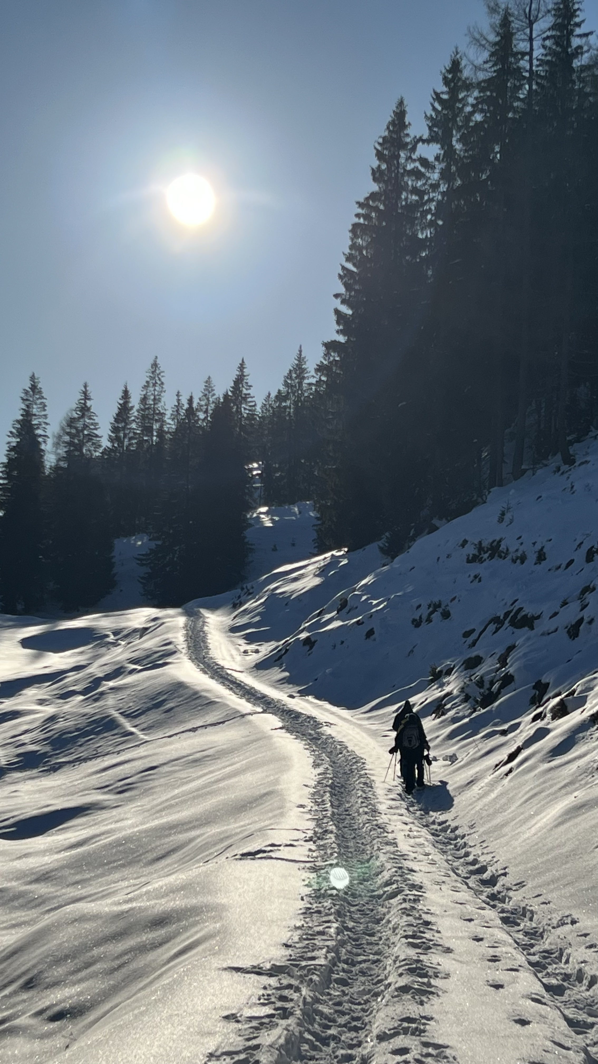 Photo n° 4 de l'avis de Marc.E fait le 13/02/2023 à 20:46
