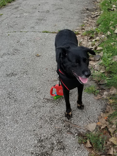 Park «Marquette Park», reviews and photos, 6743 S Kedzie Ave, Chicago, IL 60629, USA