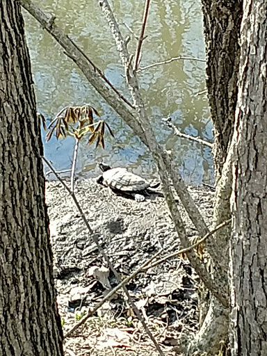 Nature Preserve «GRIGGS RESERVOIR PARK», reviews and photos, 2933 Riverside Dr, Columbus, OH 43221, USA