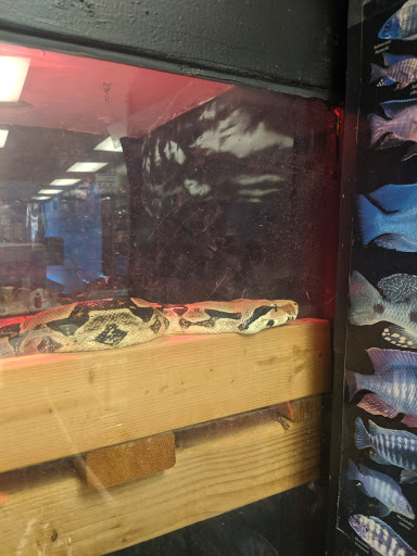 Pet Store «Rockstar Pets», reviews and photos, 215 N Main St, Tooele, UT 84074, USA