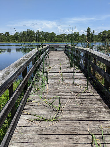 Nature Preserve «Serenova Tract», reviews and photos, 14900 Florida 52, Land O Lakes, FL 34638, USA