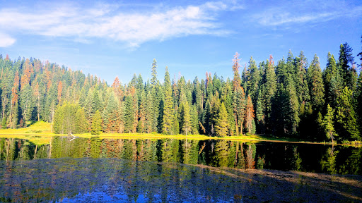 National Park «Sequoia National Park», reviews and photos