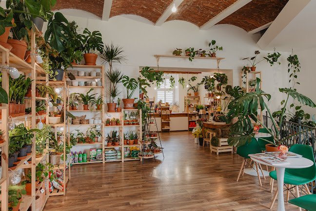 Le Fleur Design - zakázkový ateliér a flotistické kurzy - Květinářství
