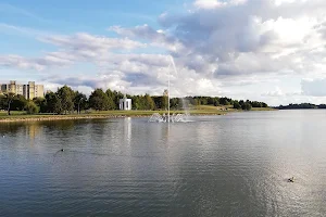 Masčio ežero pakrantės tiltelių meškiukai image