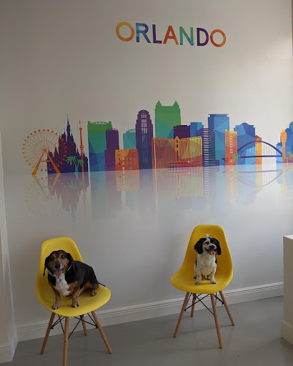 Just 4 Dogs Pet Salon Downtown Orlando