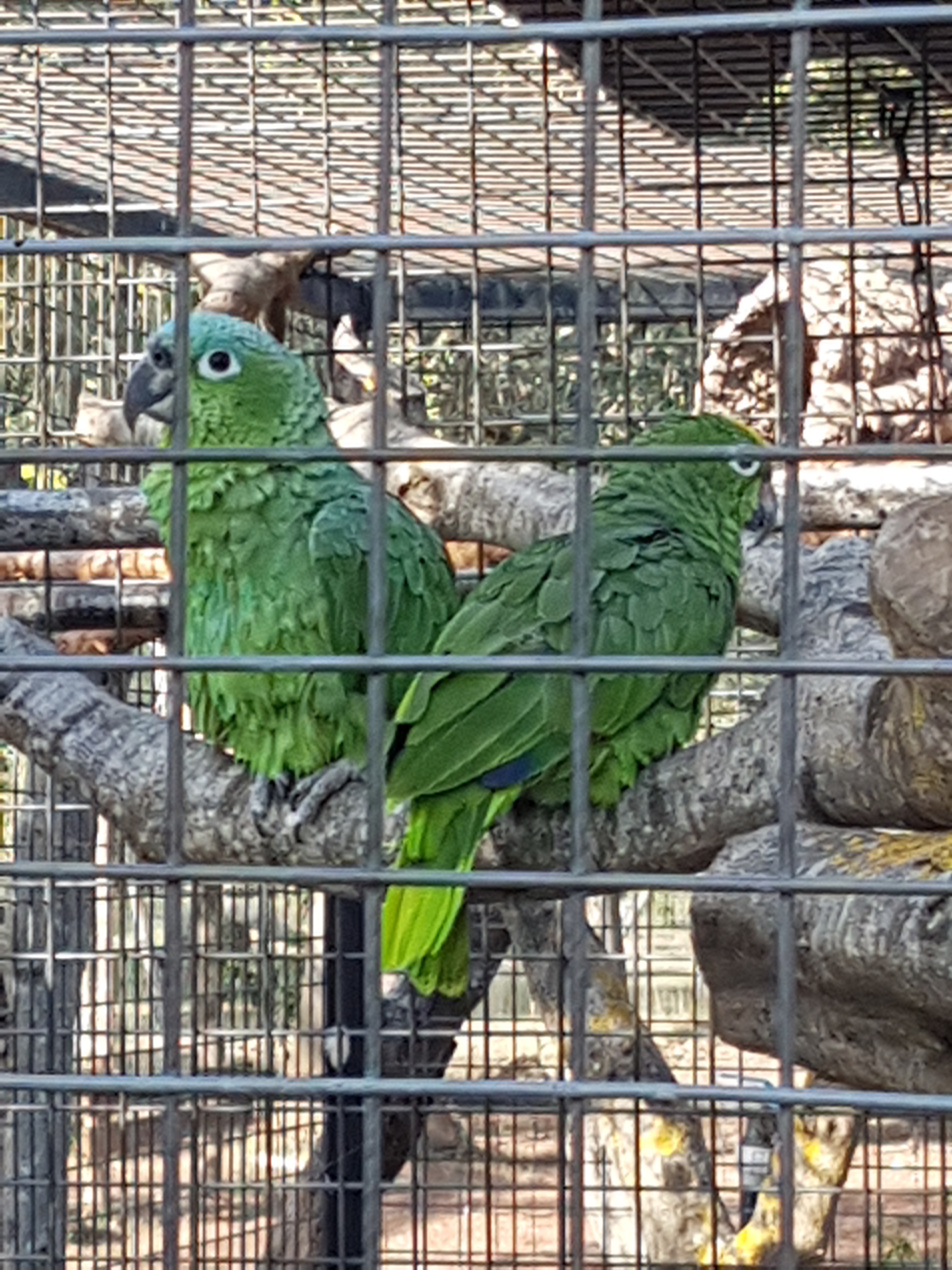 Photo n° 42 de l'avis de Armand.A fait le 09/09/2018 à 19:52