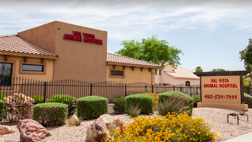 Val Vista Animal Hospital