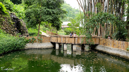 Jardín Botánico Plan de la Laguna