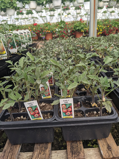 Wholesale Plant Nursery «Garden Fantasy», reviews and photos, 43250 Tyler Rd, Belleville, MI 48111, USA