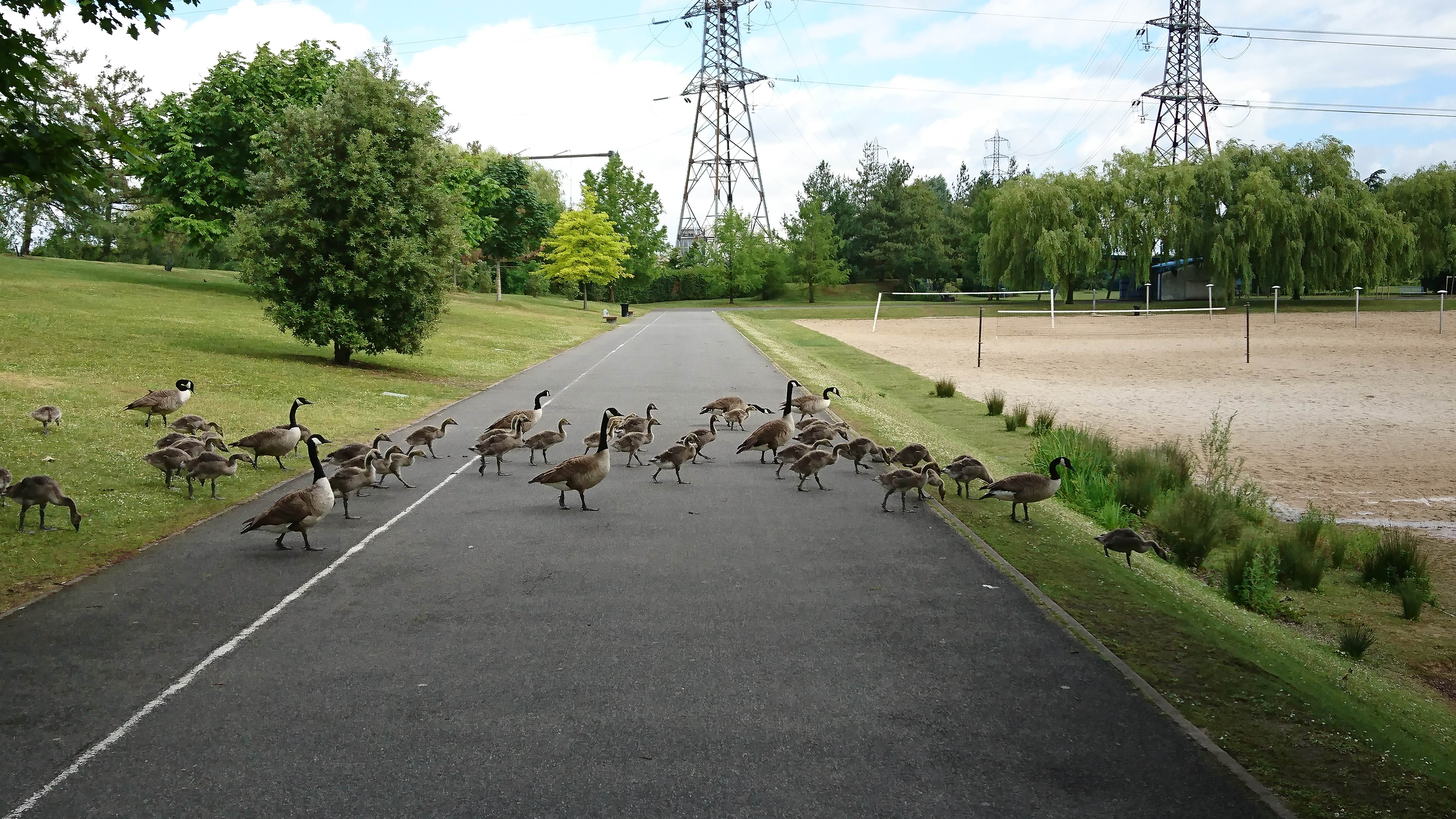 Photo n° 10 de l'avis de Aleksandar.e fait le 05/10/2017 à 07:29
