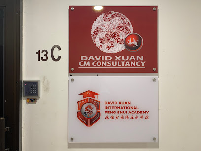 David Xuan CM Consultancy
